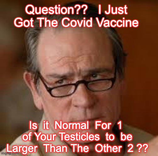 Question Vaccine | Question??   I Just Got The Covid Vaccine; Is  it  Normal  For  1  of Your Testicles  to  be  Larger  Than The  Other  2 ?? | image tagged in my face when someone asks a stupid question,vaccine,covid,covid 19 | made w/ Imgflip meme maker