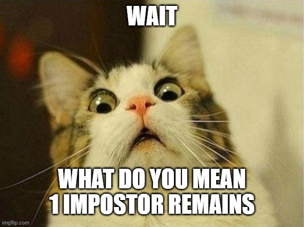 WAIT WHAT DO YOU MEAN 1 IMPOSTOR REMAINS | image tagged in memes,scared cat | made w/ Imgflip meme maker