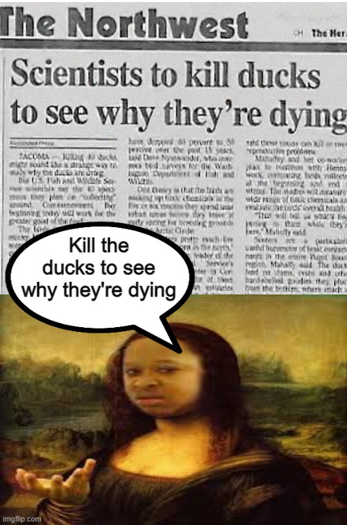 What's the true color of you're problem?! | Kill the ducks to see why they're dying | image tagged in mona lisa,newspaper,black girl wat,crossover | made w/ Imgflip meme maker