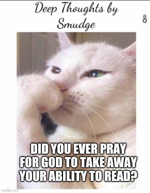 Smudge | J M; DID YOU EVER PRAY FOR GOD TO TAKE AWAY YOUR ABILITY TO READ? | image tagged in smudge | made w/ Imgflip meme maker