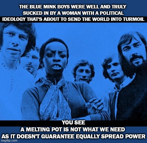 Blue Mink | THE BLUE MINK BOYS WERE WELL AND TRULY 
SUCKED IN BY A WOMAN WITH A POLITICAL IDEOLOGY THAT'S ABOUT TO SEND THE WORLD INTO TURMOIL; YOU SEE
A MELTING POT IS NOT WHAT WE NEED 
AS IT DOESN'T GUARANTEE EQUALLY SPREAD POWER | image tagged in democrats | made w/ Imgflip meme maker
