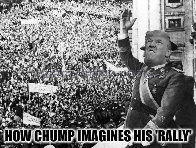 Wannabe Dick-tator | HOW CHUMP IMAGINES HIS 'RALLY' | image tagged in trump,cult of trump,maga,democracy | made w/ Imgflip meme maker