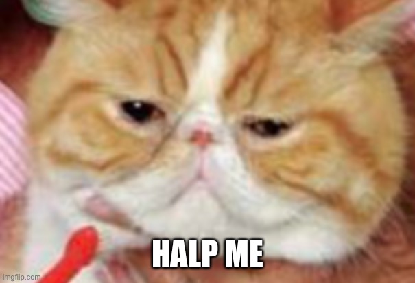 HALP ME | image tagged in halp me | made w/ Imgflip meme maker