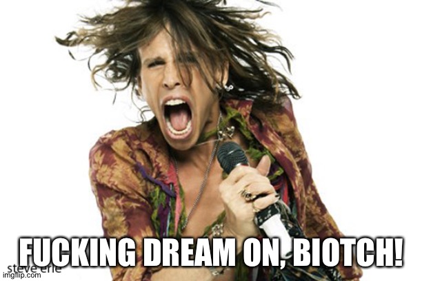 Steve Tyler Aerosmith | FUCKING DREAM ON, BIOTCH! | image tagged in steve tyler aerosmith | made w/ Imgflip meme maker