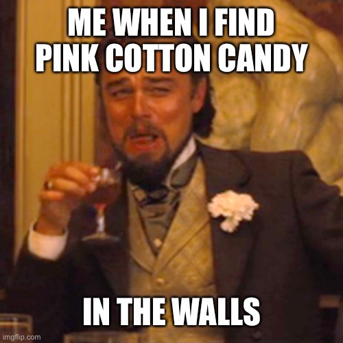 I mean they look the same | ME WHEN I FIND PINK COTTON CANDY; IN THE WALLS | image tagged in memes,laughing leo | made w/ Imgflip meme maker