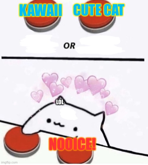 Kawaii cat | KAWAII; CUTE CAT; LOL; NOOICE! | image tagged in cat pressing two buttons,cute cat | made w/ Imgflip meme maker