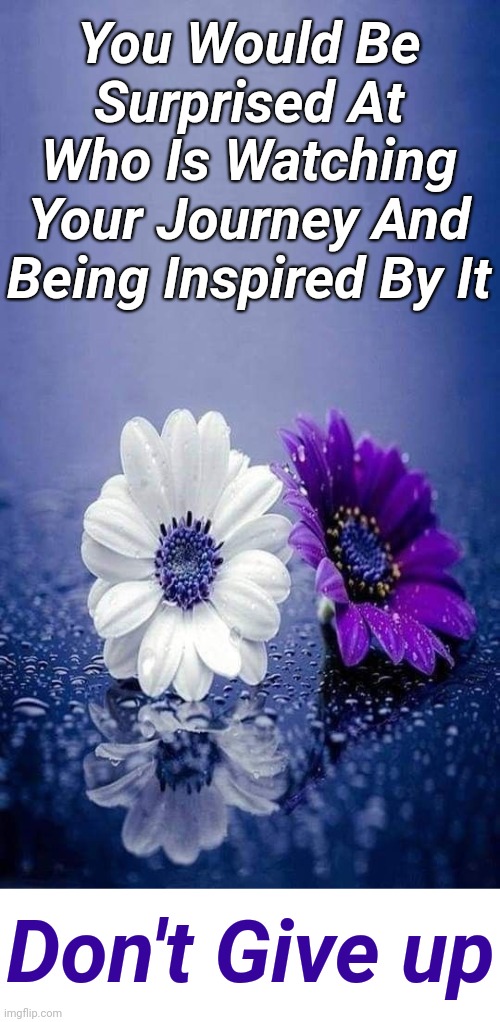 (✿◠‿◠) | You Would Be Surprised At Who Is Watching Your Journey And Being Inspired By It; Don't Give up | image tagged in flowers template,inspirational quote,quotes,memes,women,motivating women | made w/ Imgflip meme maker