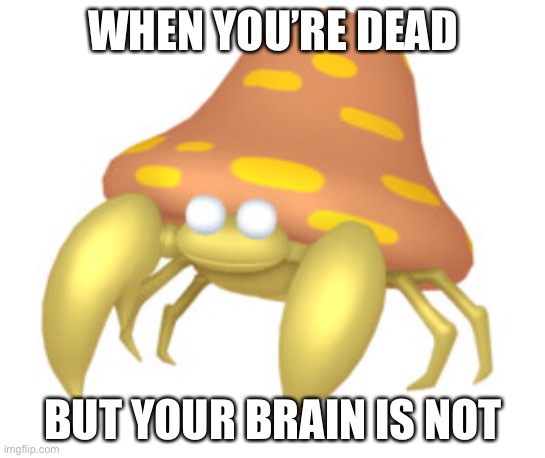 Parasect meme | WHEN YOU’RE DEAD; BUT YOUR BRAIN IS NOT | image tagged in memes | made w/ Imgflip meme maker