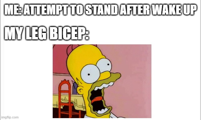 everytime i wake up. | ME: ATTEMPT TO STAND AFTER WAKE UP; MY LEG BICEP: | image tagged in white background | made w/ Imgflip meme maker