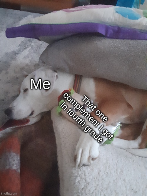 New meme format? | Me; That one complement I got in fourth grade | image tagged in dogs,burrito,funny | made w/ Imgflip meme maker