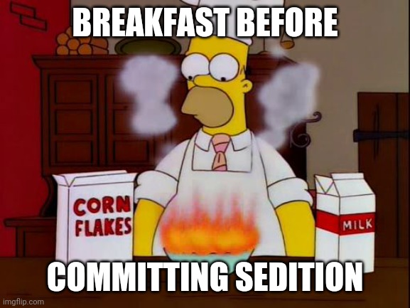 Homer Breakfast Fire | BREAKFAST BEFORE; COMMITTING SEDITION | image tagged in homer breakfast fire | made w/ Imgflip meme maker