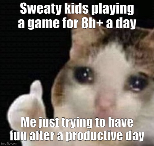 cat cry | Sweaty kids playing a game for 8h+ a day; Me just trying to have fun after a productive day | image tagged in cat cry | made w/ Imgflip meme maker