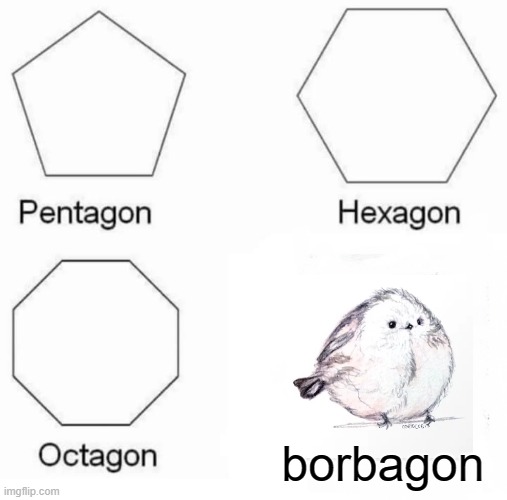 heheheheheeeeehhhh....de borbs....they amazin... | borbagon | image tagged in memes,pentagon hexagon octagon,birb,beauty | made w/ Imgflip meme maker