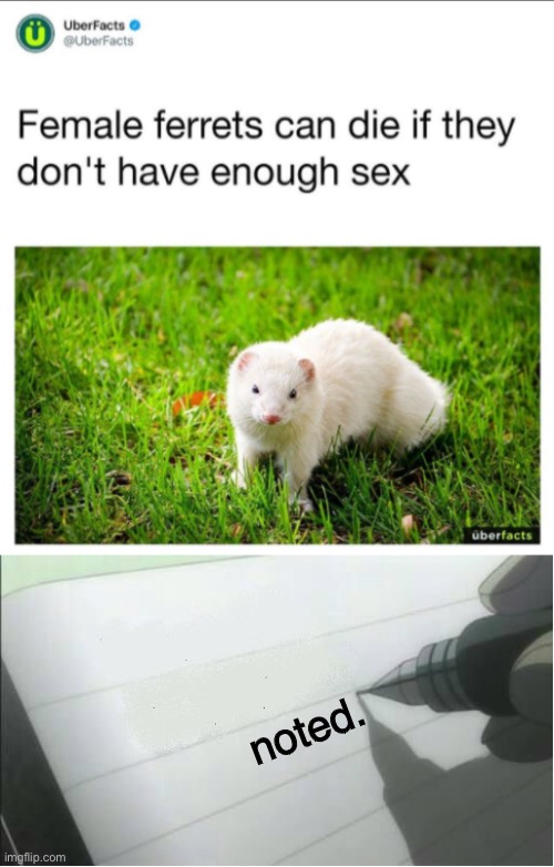 noted. | image tagged in death note blank | made w/ Imgflip meme maker