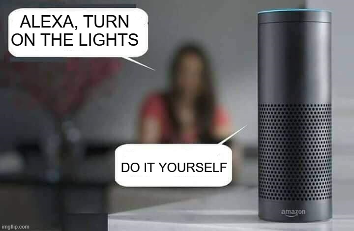 Alexa do X | ALEXA, TURN ON THE LIGHTS; DO IT YOURSELF | image tagged in alexa do x | made w/ Imgflip meme maker