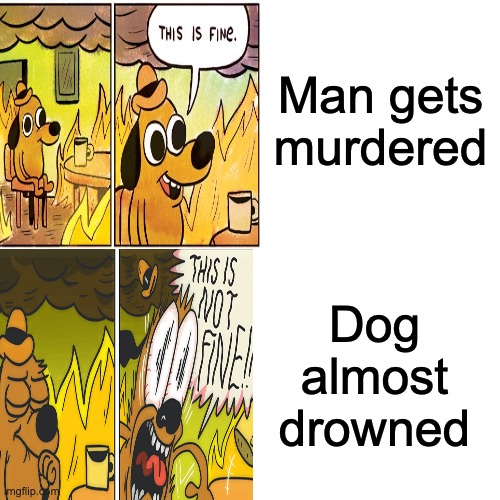 NOT THE DOG | Man gets murdered; Dog almost drowned | image tagged in fun | made w/ Imgflip meme maker