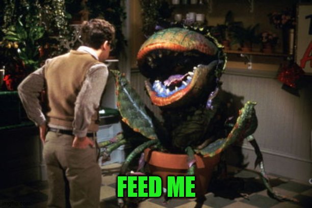 feed me seymour | FEED ME | image tagged in feed me seymour | made w/ Imgflip meme maker