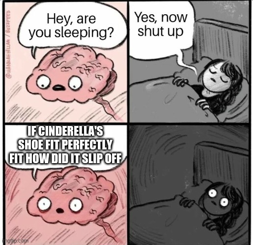 Hey are you sleeping | IF CINDERELLA'S SHOE FIT PERFECTLY FIT HOW DID IT SLIP OFF | image tagged in hey are you sleeping | made w/ Imgflip meme maker
