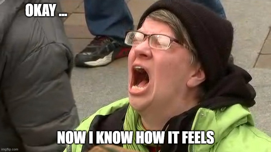 Democrats in Control | OKAY ... NOW I KNOW HOW IT FEELS | image tagged in screaming woman | made w/ Imgflip meme maker