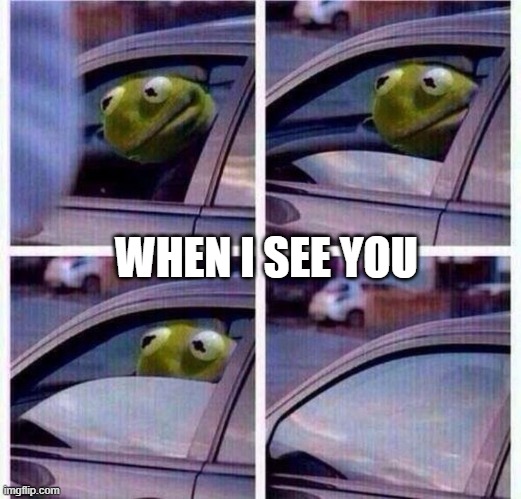 Kermit Car Window | WHEN I SEE YOU | image tagged in kermit car window | made w/ Imgflip meme maker