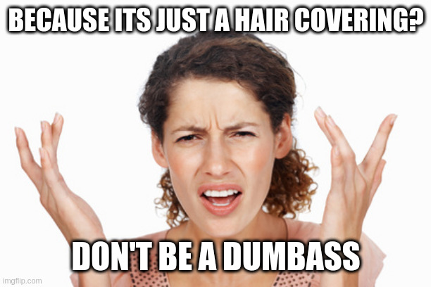 Indignant | BECAUSE ITS JUST A HAIR COVERING? DON'T BE A DUMBASS | image tagged in indignant | made w/ Imgflip meme maker