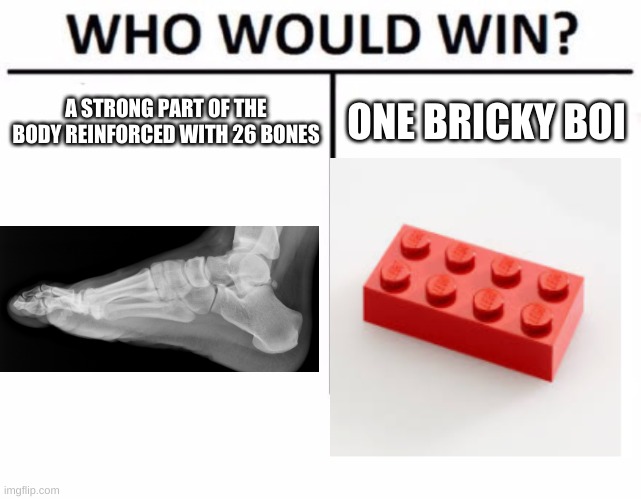 Who Would Win? | A STRONG PART OF THE BODY REINFORCED WITH 26 BONES; ONE BRICKY BOI | image tagged in memes,who would win | made w/ Imgflip meme maker