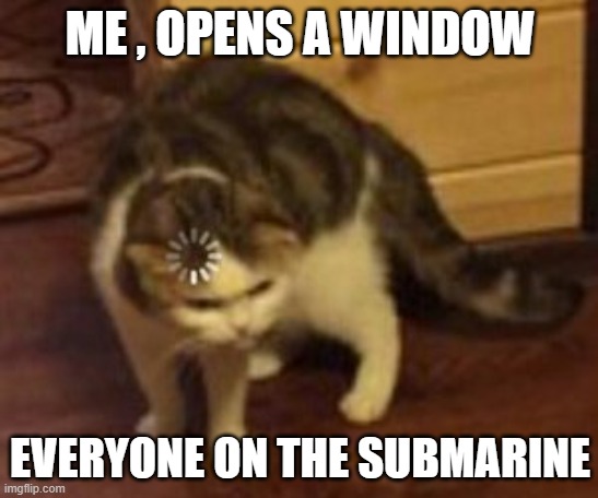 wuy |  ME , OPENS A WINDOW; EVERYONE ON THE SUBMARINE | image tagged in loading cat | made w/ Imgflip meme maker