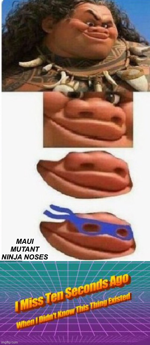 dam it Maui mutant ninja noses | MAUI MUTANT NINJA NOSES | image tagged in maui,maui mutant ninja noses,teenage mutant ninja turtles | made w/ Imgflip meme maker