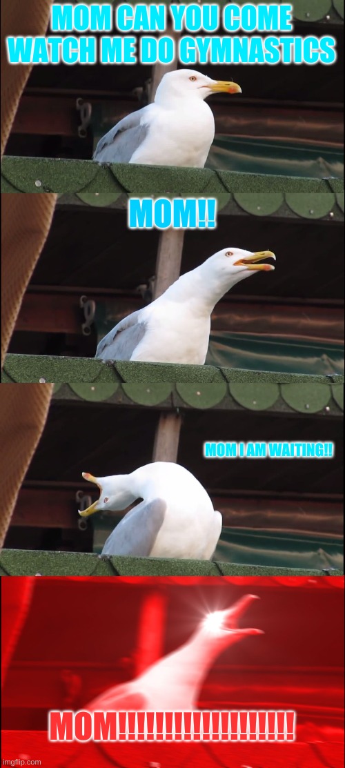 Screaming seagull | MOM CAN YOU COME WATCH ME DO GYMNASTICS; MOM!! MOM I AM WAITING!! MOM!!!!!!!!!!!!!!!!!!! | image tagged in memes,inhaling seagull | made w/ Imgflip meme maker