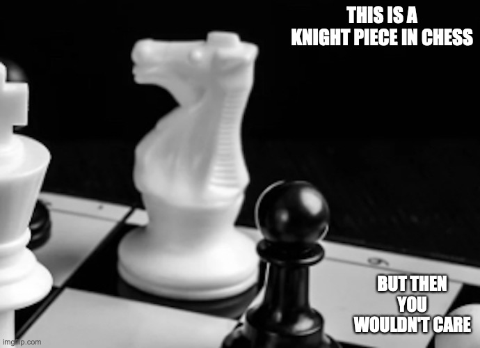 White Knight Piece | THIS IS A KNIGHT PIECE IN CHESS; BUT THEN YOU WOULDN'T CARE | image tagged in chess,memes | made w/ Imgflip meme maker