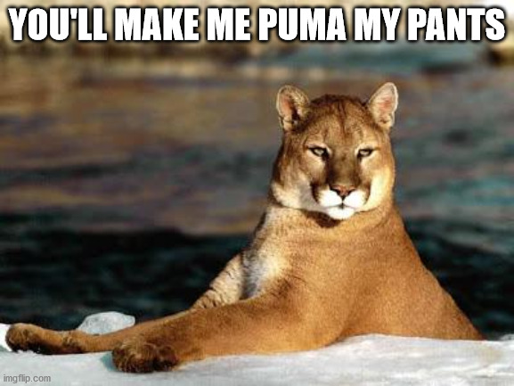 punny puma | YOU'LL MAKE ME PUMA MY PANTS | image tagged in punny puma | made w/ Imgflip meme maker