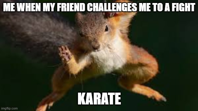 karate squirrel | ME WHEN MY FRIEND CHALLENGES ME TO A FIGHT; KARATE | image tagged in karate squirrel | made w/ Imgflip meme maker