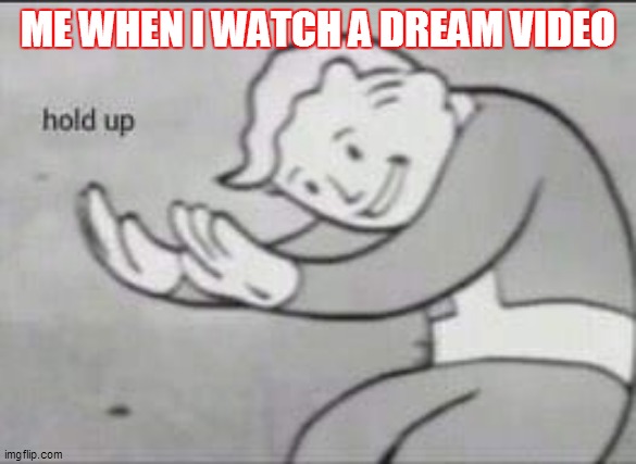 Fallout Hold Up | ME WHEN I WATCH A DREAM VIDEO | image tagged in fallout hold up | made w/ Imgflip meme maker