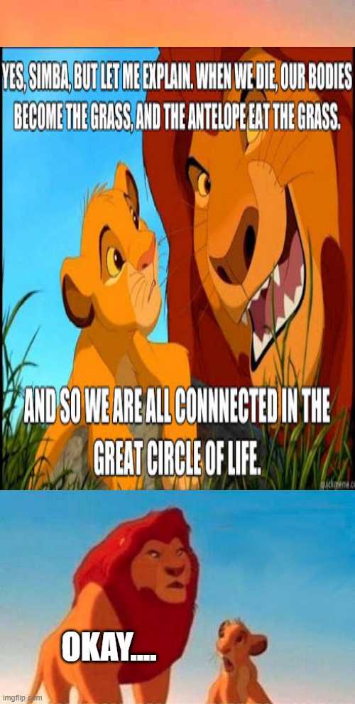 when we die | OKAY.... | image tagged in lion king,that face you make when | made w/ Imgflip meme maker