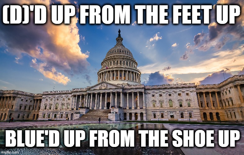 Democrat Majority In House / Senate |  (D)'D UP FROM THE FEET UP; BLUE'D UP FROM THE SHOE UP | image tagged in american politics,democrat,democratic party,capitol hill,senate,dr dre | made w/ Imgflip meme maker