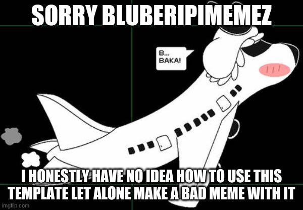 SORRY BLUBERIPIMEMEZ; I HONESTLY HAVE NO IDEA HOW TO USE THIS TEMPLATE LET ALONE MAKE A BAD MEME WITH IT | made w/ Imgflip meme maker