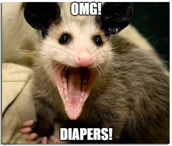 Awesome Possum | OMG! DIAPERS! | image tagged in awesome possum | made w/ Imgflip meme maker