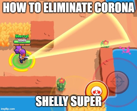 bye | HOW TO ELIMINATE CORONA; SHELLY SUPER | image tagged in shelly super | made w/ Imgflip meme maker