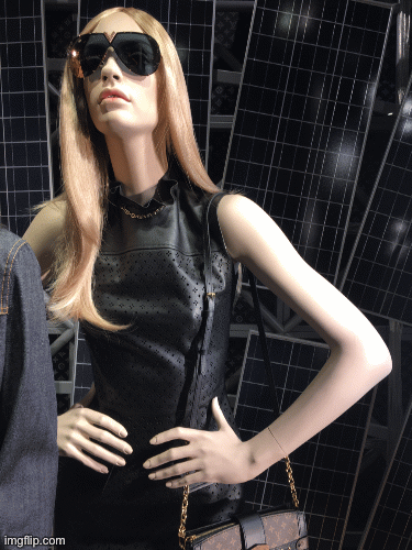 Is that Gwyneth? | image tagged in gifs,fashion,window design,louis vuitton,gwyneth paltrow,brian einersen | made w/ Imgflip images-to-gif maker