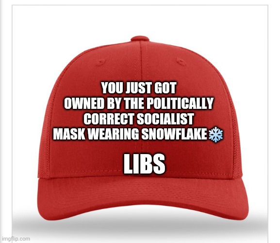 Own the Libs | LIBS; YOU JUST GOT OWNED BY THE POLITICALLY CORRECT SOCIALIST MASK WEARING SNOWFLAKE❄ | image tagged in maga,liberals,democrats,election 2020,trump | made w/ Imgflip meme maker