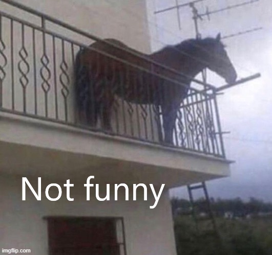 juan is just a horse on a balcony | image tagged in juan | made w/ Imgflip meme maker
