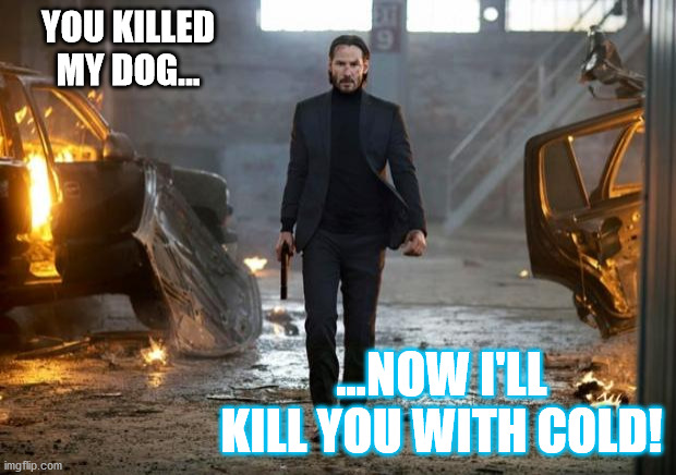 (It's so cold here... now I know the reason!) | YOU KILLED MY DOG... ...NOW I'LL KILL YOU WITH COLD! | image tagged in john wick fyc,cold weather,dog | made w/ Imgflip meme maker