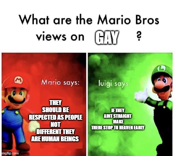 Mario Bros Views | GAY; THEY SHOULD BE RESPECTED AS PEOPLE NOT DIFFERENT THEY ARE HUMAN BEINGS; IF THEY AINT STRAIGHT  MAKE THERE STOP TO HEAVEN EARLY | image tagged in mario bros views | made w/ Imgflip meme maker