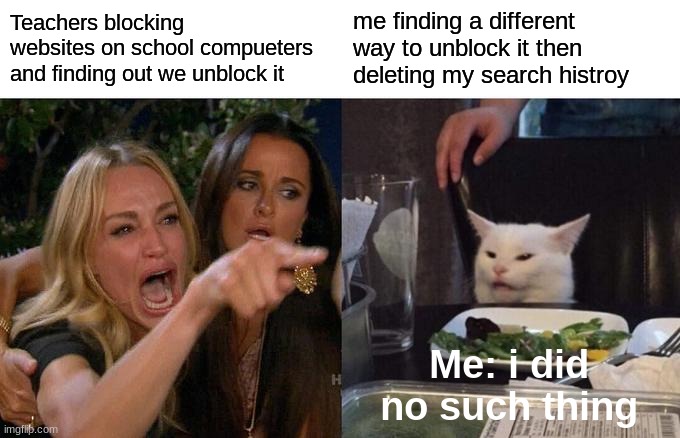 Teachers | Teachers blocking websites on school compueters and finding out we unblock it; me finding a different way to unblock it then deleting my search histroy; Me: i did no such thing | image tagged in memes,woman yelling at cat | made w/ Imgflip meme maker