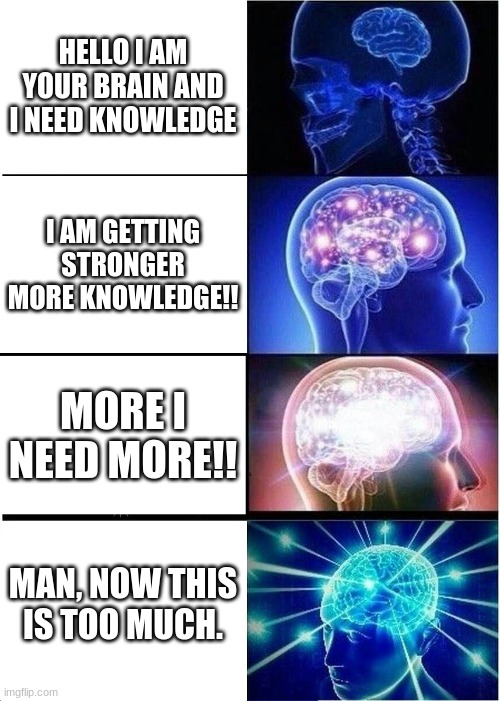 Expanding Brain Meme | HELLO I AM YOUR BRAIN AND I NEED KNOWLEDGE; I AM GETTING STRONGER MORE KNOWLEDGE!! MORE I NEED MORE!! MAN, NOW THIS IS TOO MUCH. | image tagged in memes,expanding brain | made w/ Imgflip meme maker