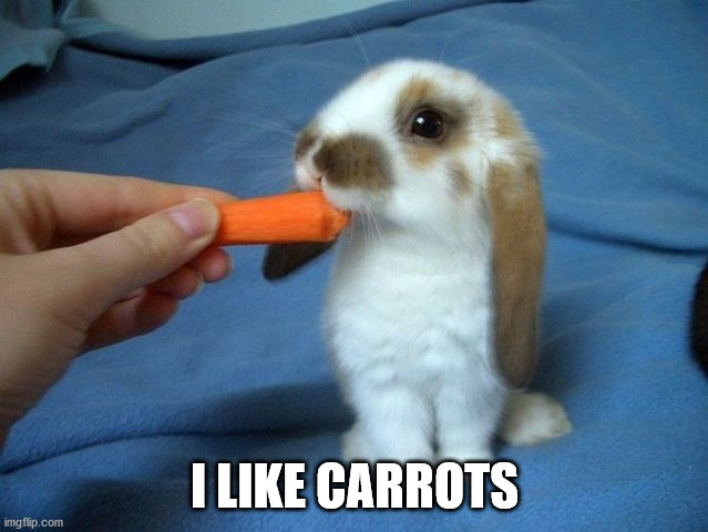 I LIKE CARROTS | image tagged in bunnies | made w/ Imgflip meme maker