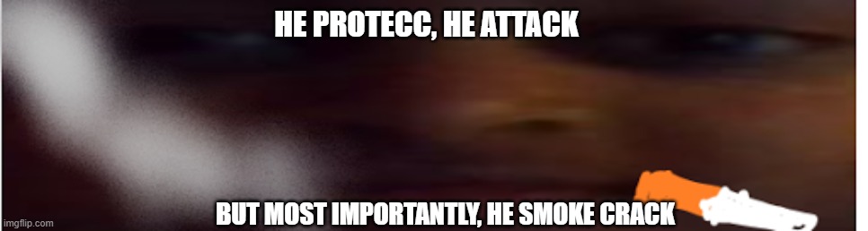 HE PROTECC, HE ATTACK; BUT MOST IMPORTANTLY, HE SMOKE CRACK | image tagged in dank memes | made w/ Imgflip meme maker