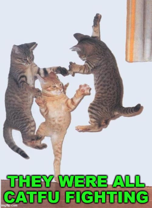THEY WERE ALL CATFU FIGHTING | image tagged in cats,jumping | made w/ Imgflip meme maker