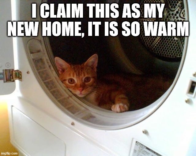 I CLAIM THIS AS MY NEW HOME, IT IS SO WARM | image tagged in cats | made w/ Imgflip meme maker