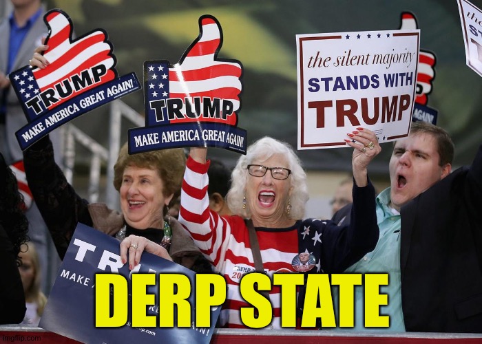 Derp State | DERP STATE | image tagged in trump supporter | made w/ Imgflip meme maker